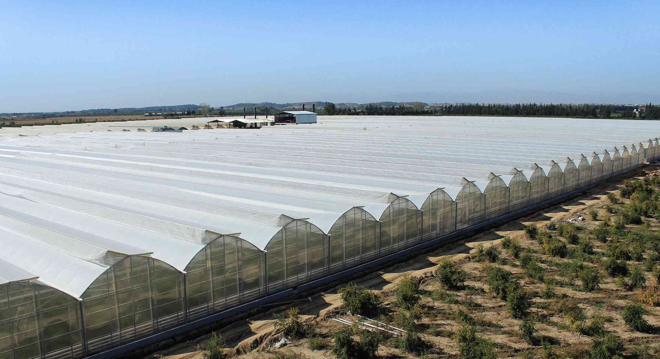 ACARLAR COMISSION HOUSE - ADANA - SOILED BANANA GREENHOUSE