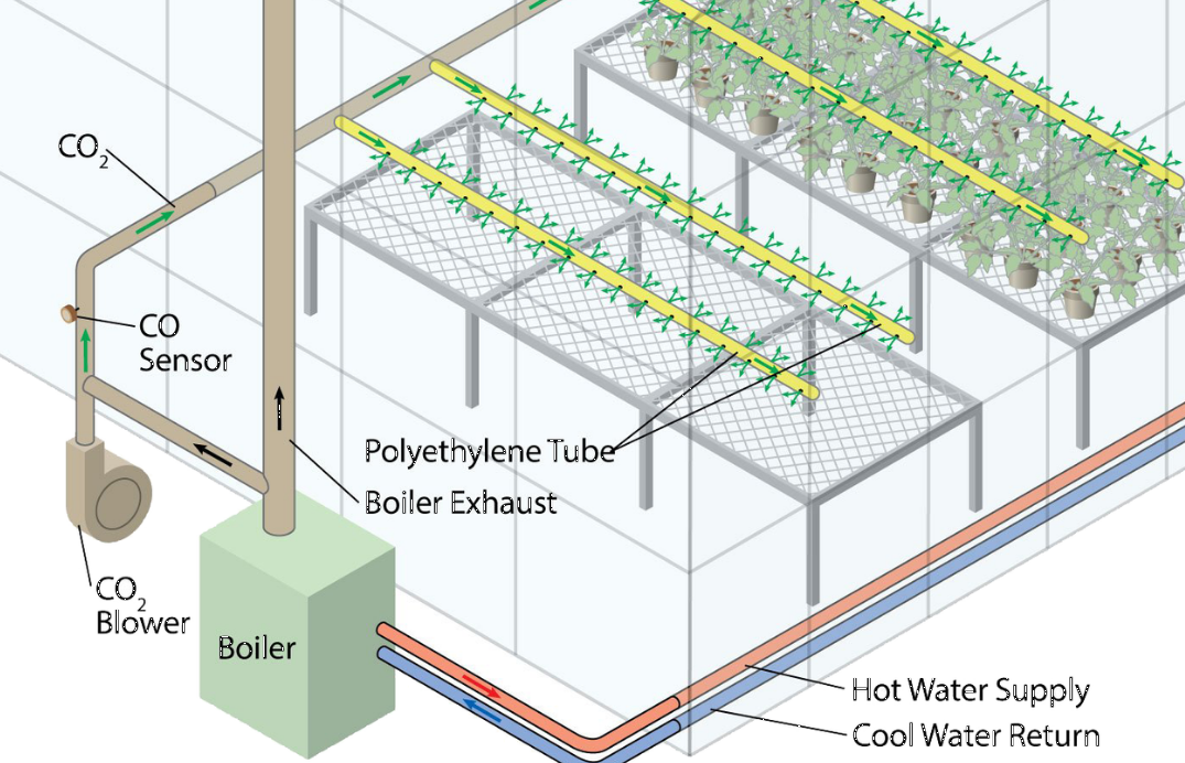 Co₂ System