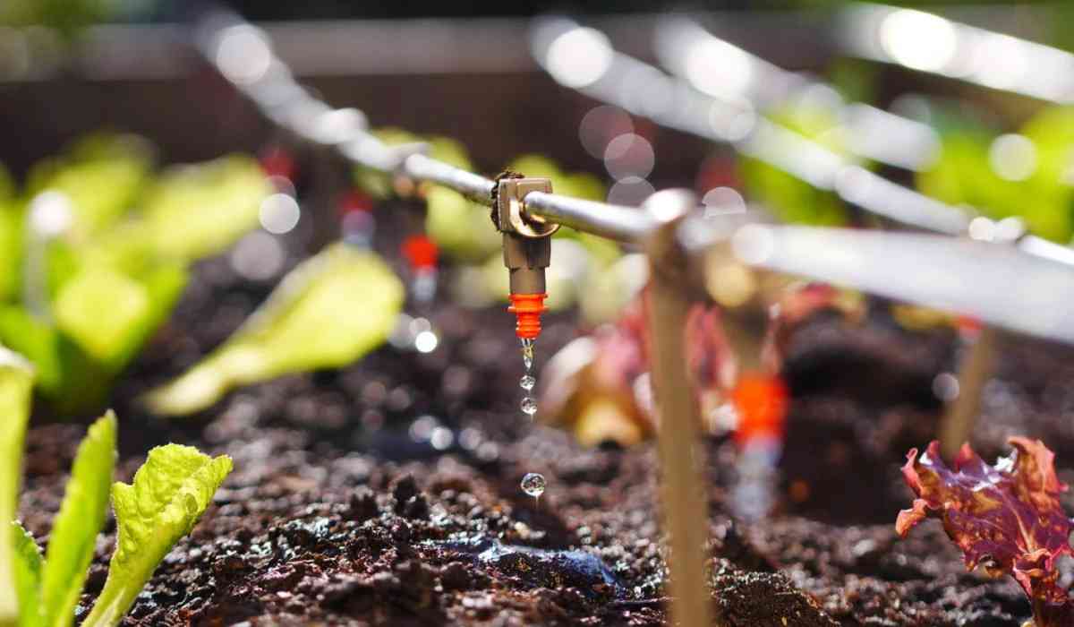 Drip Root Irrigation System