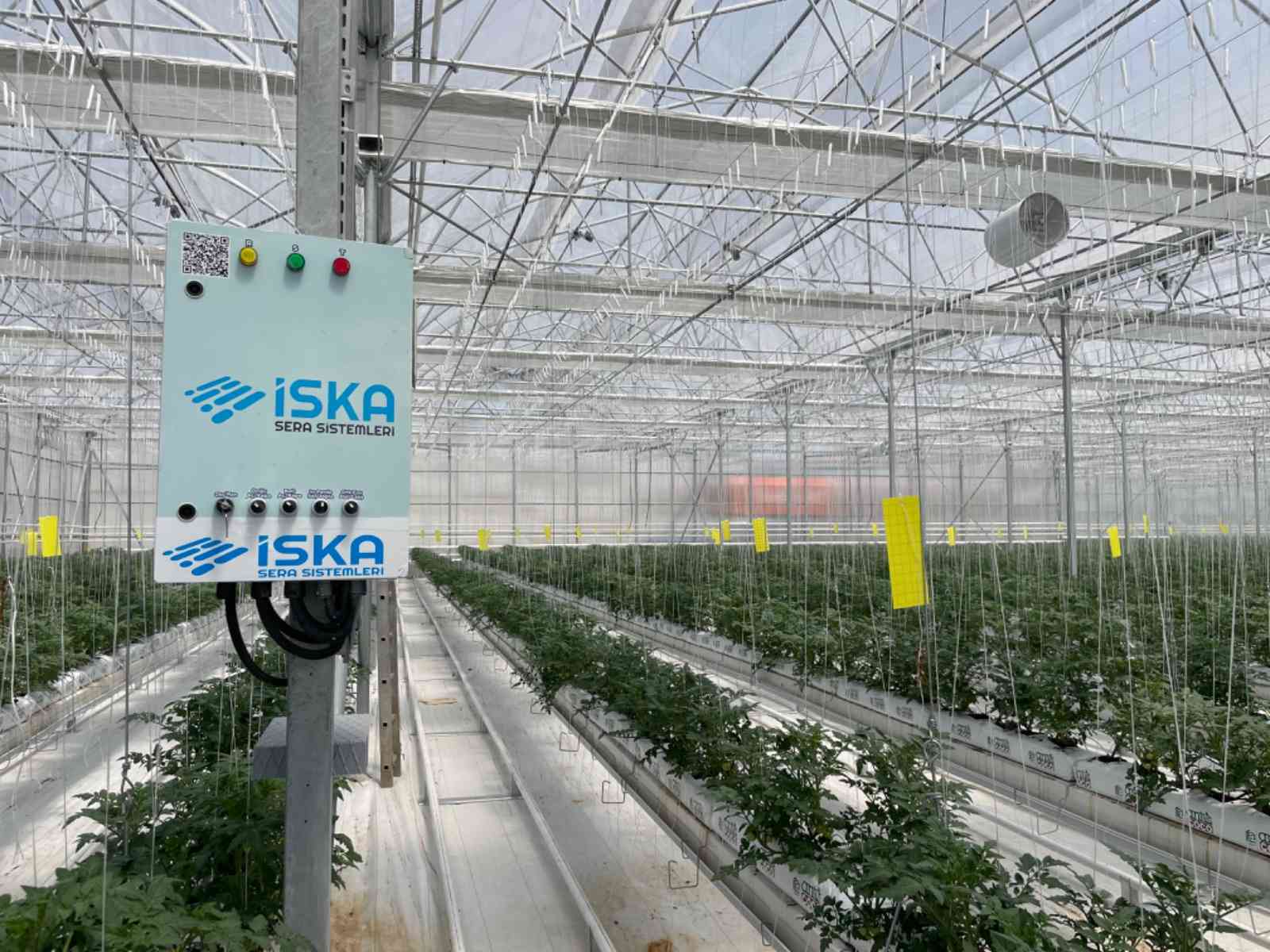 Greenhouse Electrical System