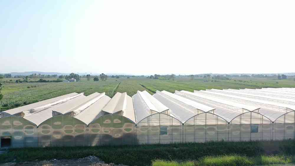 Modern Gothic Greenhouses