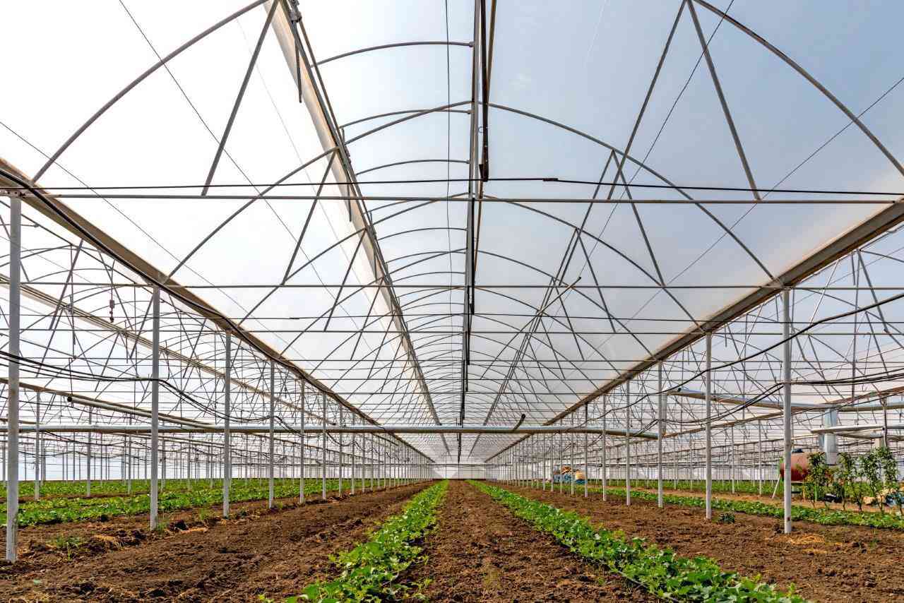 HARMONY CONSTRUCTION - ADANA - SOILED VEGETABLE GREENHOUSE