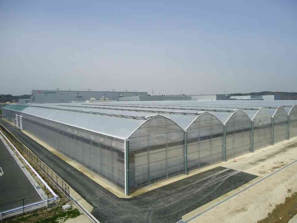 KILIS UNIVERSITY - KILIS - SEEDLING GREENHOUSE