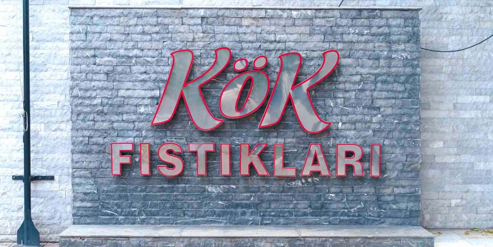 Kök fıstıkları işleme tesisi