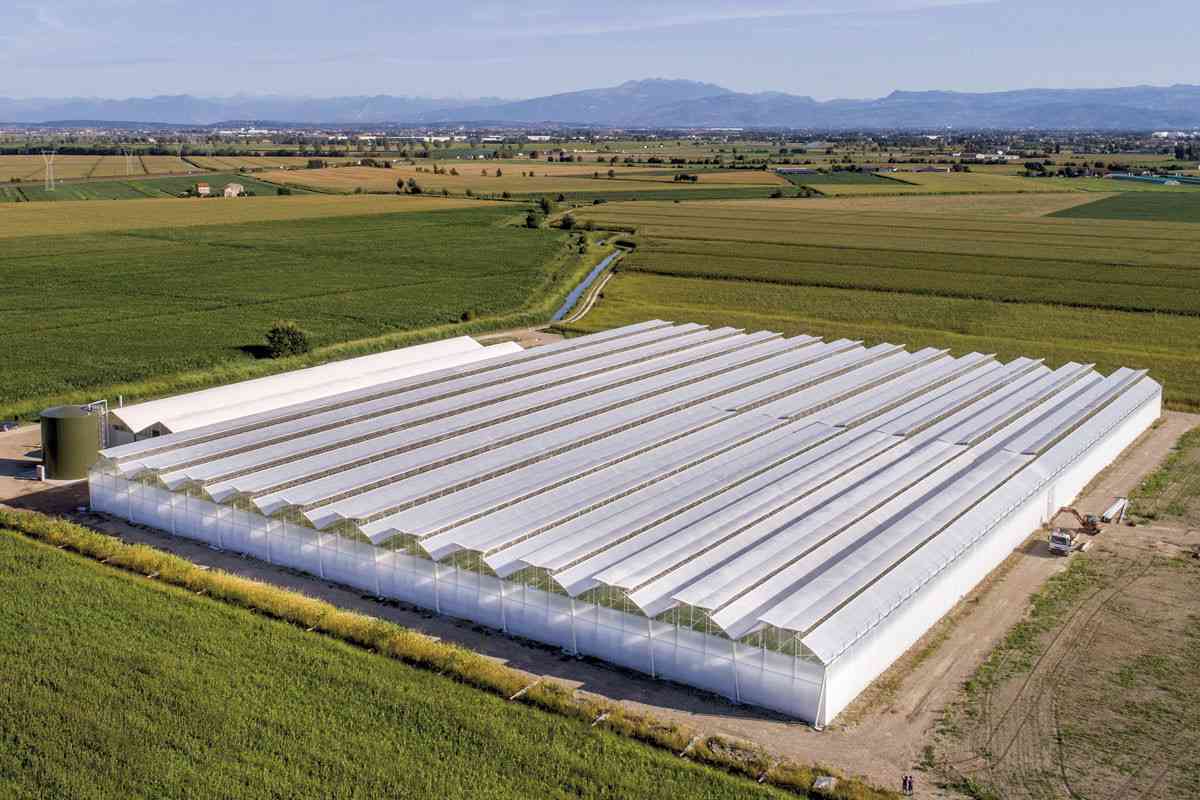 KONYA SUGAR - KONYA - SOILLESS TOMATO GREENHOUSE