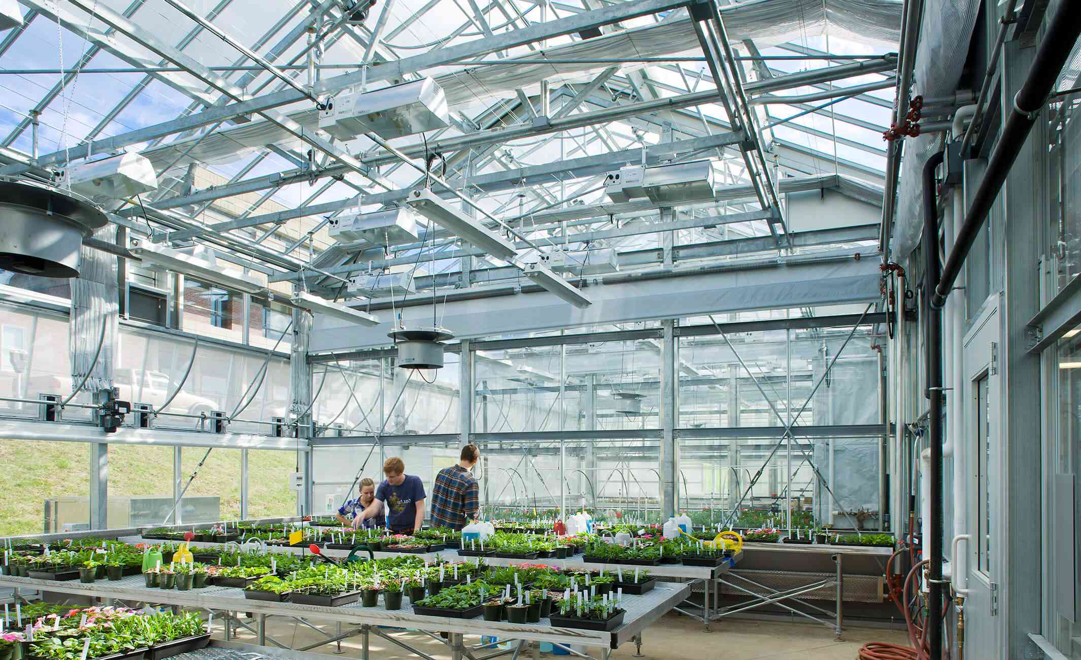 R&D Greenhouse