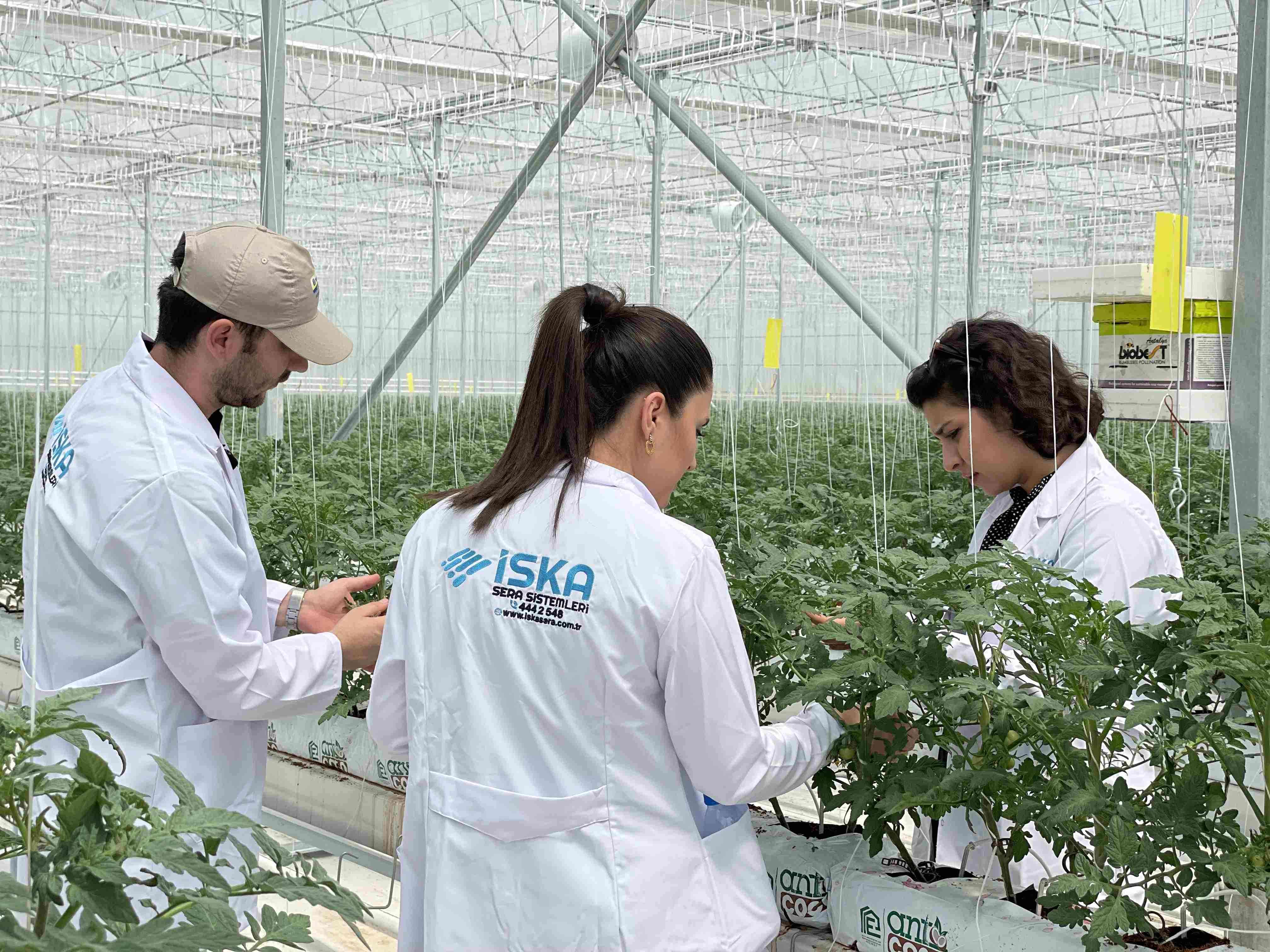Sera OSB ve Yatırımlar (TDİOSB) İçin Bilgilendirme ve Destek