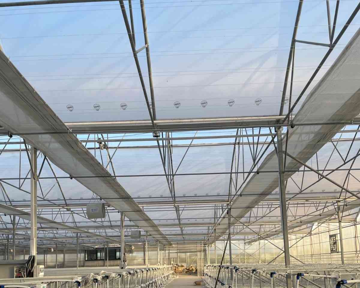 Greenhouse Plastic